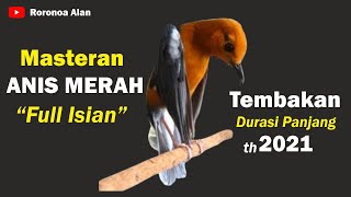 Download lagu Masteran Anis Merah Full Isian Tembakan Durasi Panjang mp3