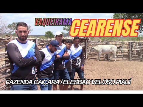 Vaqueirama Cearense no Preá#boinamoita
