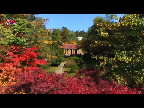 Autumn Scenery of Moran Hill [English]