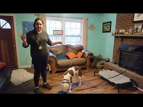 Samiya's first session learning the "Out" command!