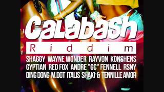 Calabash Riddim Mix by @DJ_Jubilation [Formerly DJ Triniboy]
