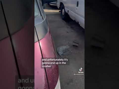 Thumbnail for Another 1990 Toyota Previa comes to the junkyard at Auto Parts City ￼ by Toyota, Toyota Previa