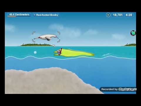 Tasty planet forever Eel