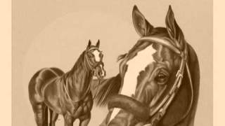 GRUPO LABERINTO- LA COQUETA