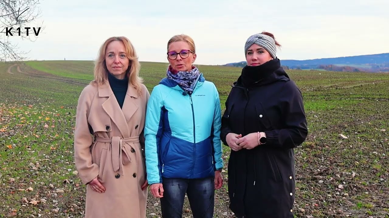 Životy malých srnčat můžete pomoci zachránit i vy