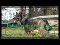 Sumbulweni By Beauty Shampongo Song Lyrics
