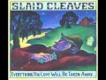 Slaid Cleaves"Everything You Love Will Be Taken Away",2009.Track 05:"Run Jolee Run"