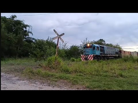 Tren 5004/9710 por Río Colorado. Tucumán 🚂💪