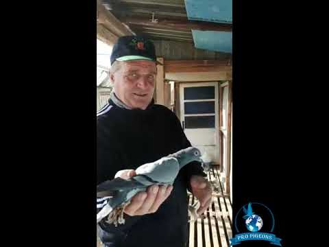 Interviu cu domnul Stancu Ion, unul dintre Campionii Romaniei