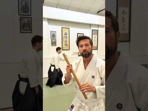 Peleando con peleadores sin saber pelear ( AIKIDO ) :D