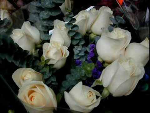 O HOMEM DE BEM - ALLAN KARDEC Cap. XVII item 3