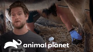 Thumbnail del capítulo