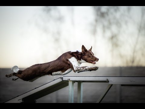 Pippa’s first A2 exam ⭐️