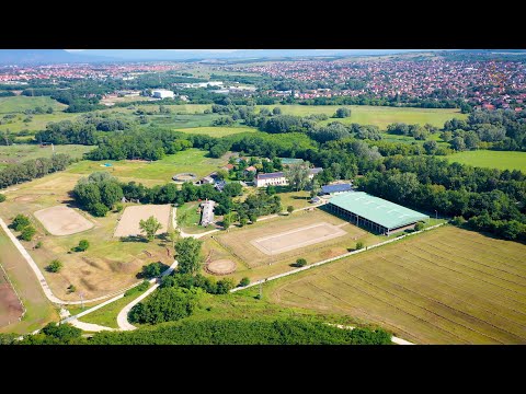 Minden napra lovaskultúra - Bevezetés a lovasterápiába (78. rész)