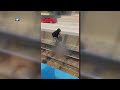 Good Samaritan steps in after man falls onto third rail on Red Line tracks