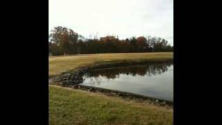 preview picture of video 'video2.mov: A Fall Morning Walk in Cambridge MD'