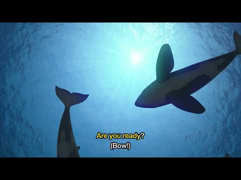 Thumbnail for ARE YOU READY? video