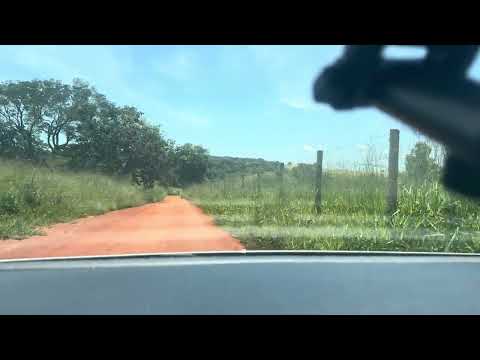 Pescaria 100spim Guapó go , viajando , documentário de viagem #interiordegoias #goiás #pesca 5