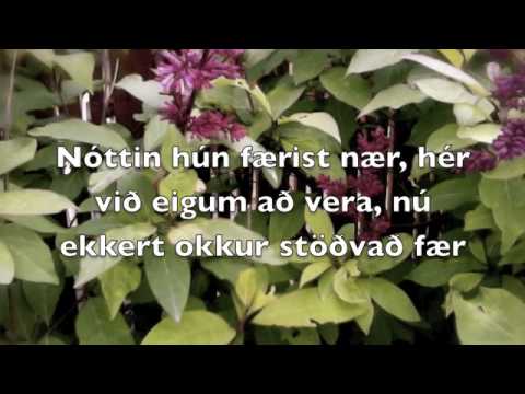 Lífið er Yndislegt TEXTI/LYRICS