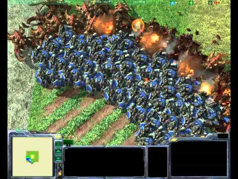 50 Ultralisk vs 50 Thor