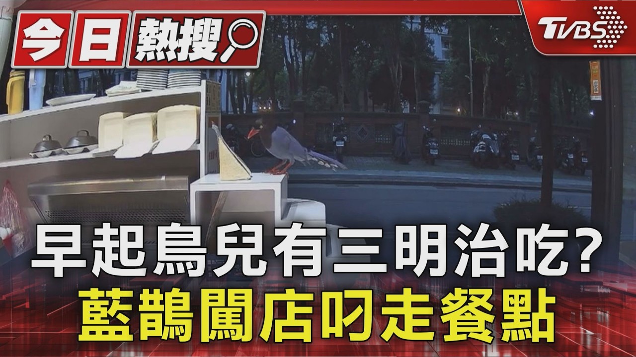 影音/早起鳥兒有三明治吃?叼走4次 早餐店家無奈:請結帳