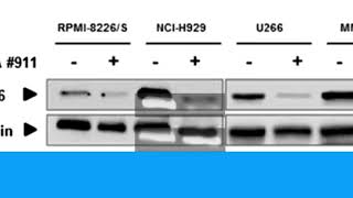 Download lagu 83FD928069D3C54EF7C6CB6368CD0E#2 mp3