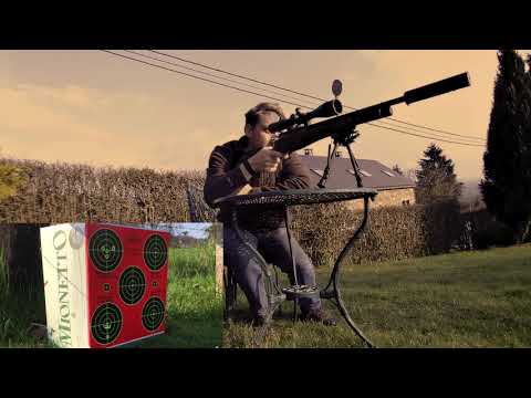 DAYSTATE HUNTSMAN REGAL XL vs AIR ARMS S410 CLASSIC.