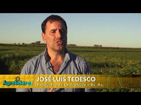 MICRO AGROLÍDERES N°34 - JOSÉ LUIS TEDESCO (ESPECIAL MALEZAS)