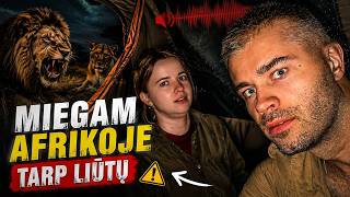 MIEGAM AFRIKOJE APSUPTI LIŪTŲ (4)