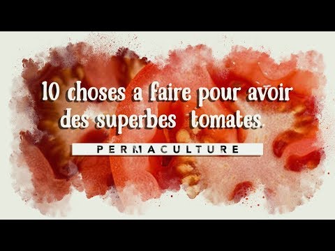 , title : 'Les 10 astuces à savoir pour avoir de belles tomates 🍅'