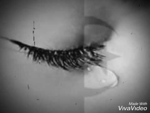 Nachfa ya système nachfa