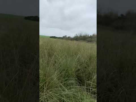 Cerro Largo 🇺🇾 El Conventos