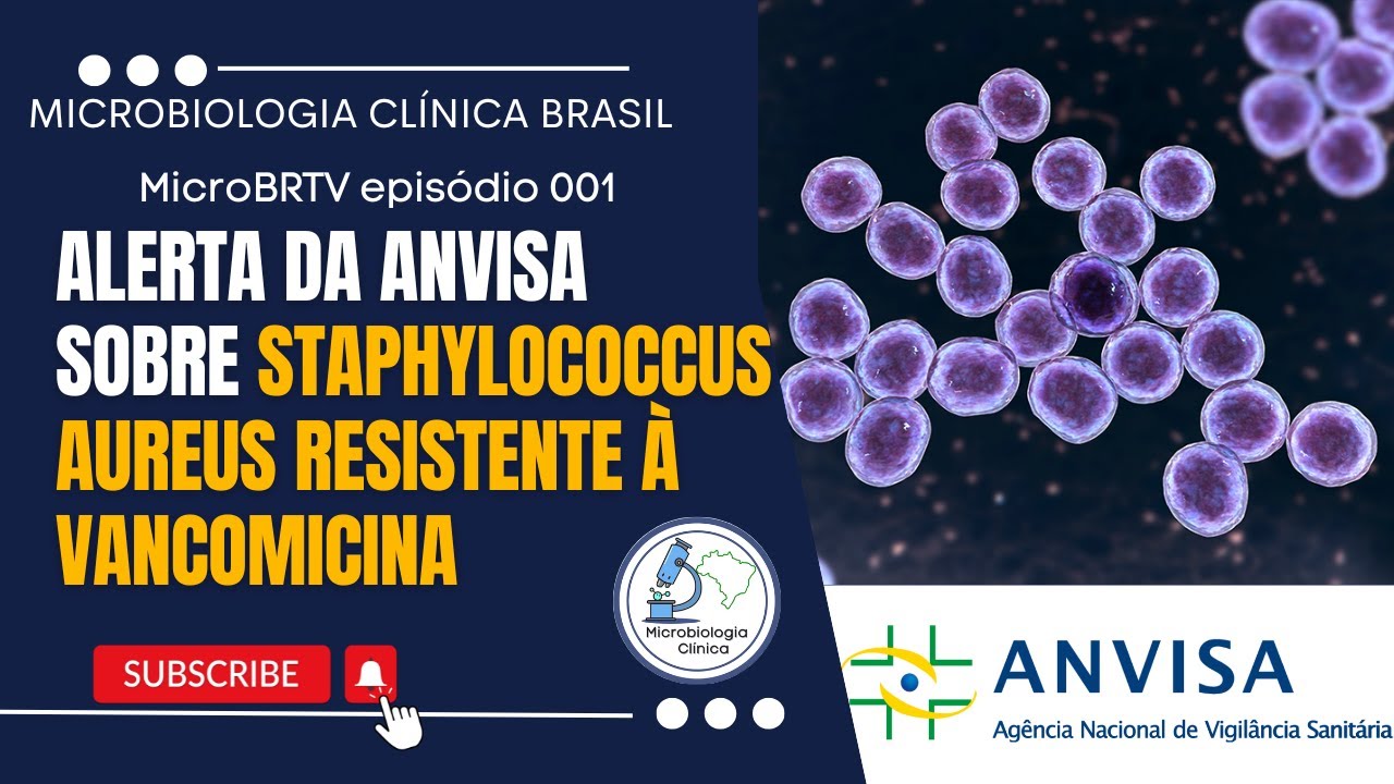 NOVO ALERTA DA ANVISA, STAPHYLOCOCCUS AUREUS RESISTENTE À VANCOMICINA - MicroBRTV Ep #001 #bacteria