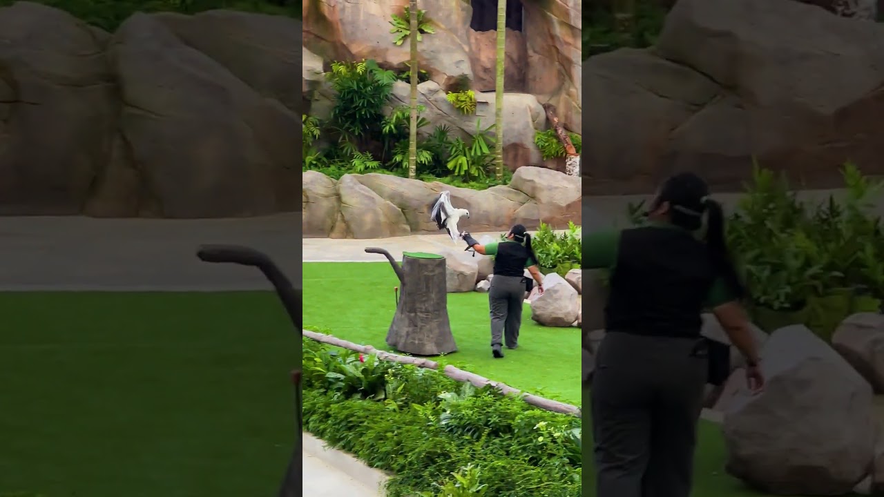 YouTube Short thumbnail