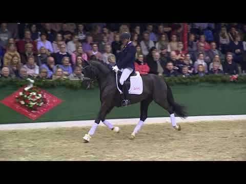 Quando Unico (DVD 2019)