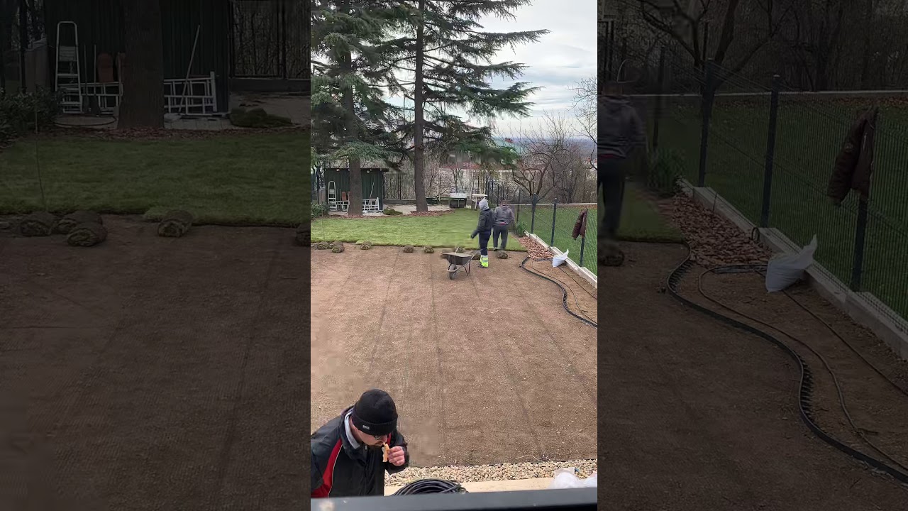 Postavljanje tepih trave