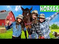 A Day In The Life With Our Horse Bubba