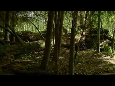 NEXT24.PL: Czarnobyl - Życie w strefie śmierci