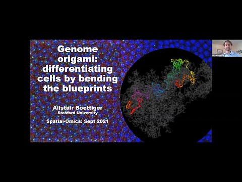 Genome origami: differentiating cells by bending the blueprints (Speaker: Alistair Boettiger)