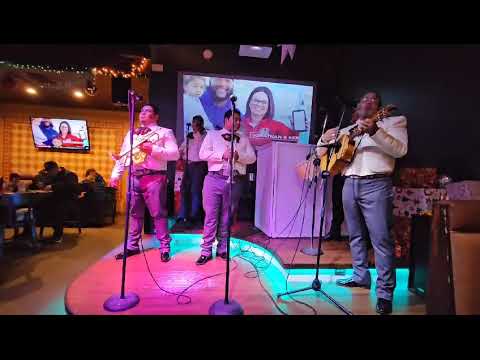 Promotional video thumbnail 6 for Mariachi  Los  Plateados