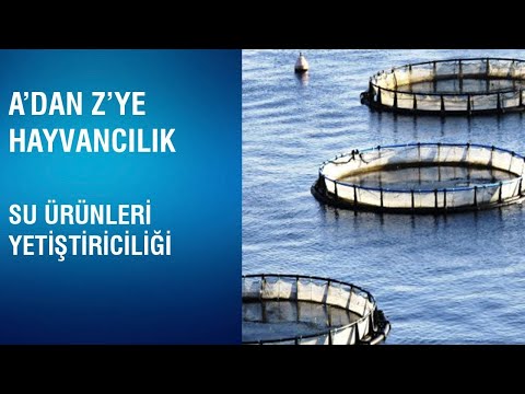 , title : 'A'dan Z'ye Hayvancılık - Su Ürünleri Yetiştiriciliği Prosedürü'