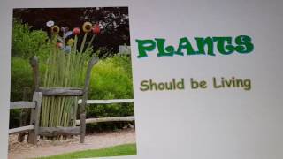 How Feng Shui in the Garden Can Improve Your Life - Part 2