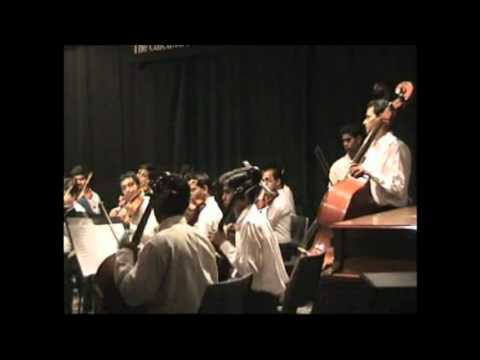 Vivaldi - Concerto Grosso - Jiayi He - harmonica