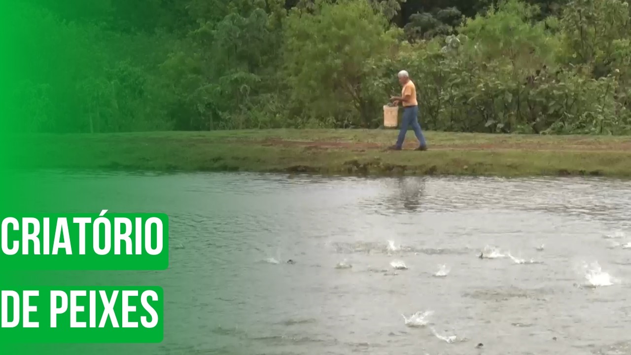 Criatório de peixes