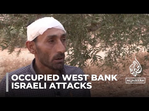 violence in occupied West Bank: Palestinian olive...