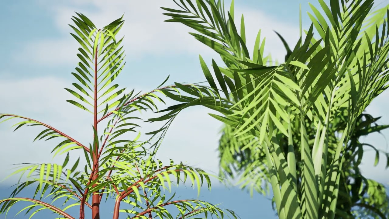 室内棕榈系列 3D 模型