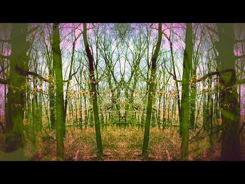 Lightfoils - Sunblind