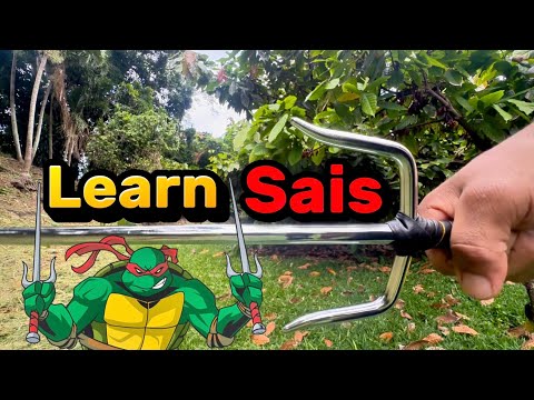 So verwenden Sie Sai – Leitfaden für Anfänger