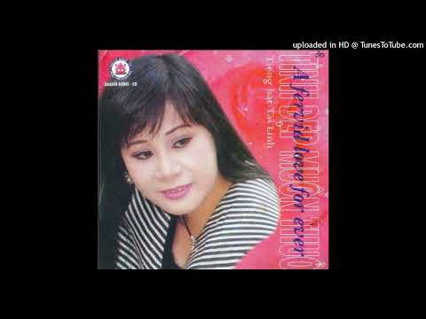 Chuyện tình không phai (Câu chuyện tình yêu - Ài qíng de gù shì - 爱情的故事) - Tài Linh