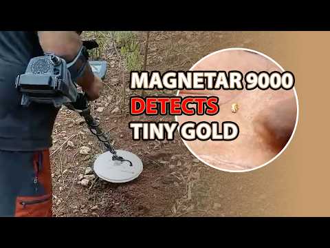 Nokta Magnetar 9000 Dedektör 2